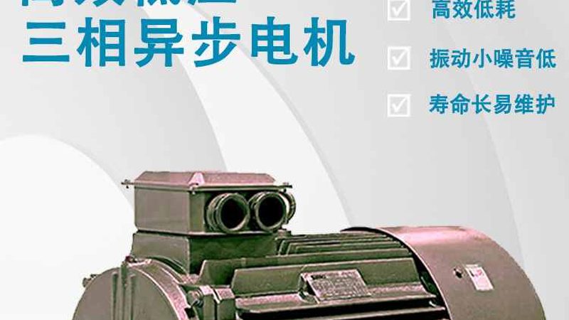 电机环保节能评价体系主要包括以下几个方面：